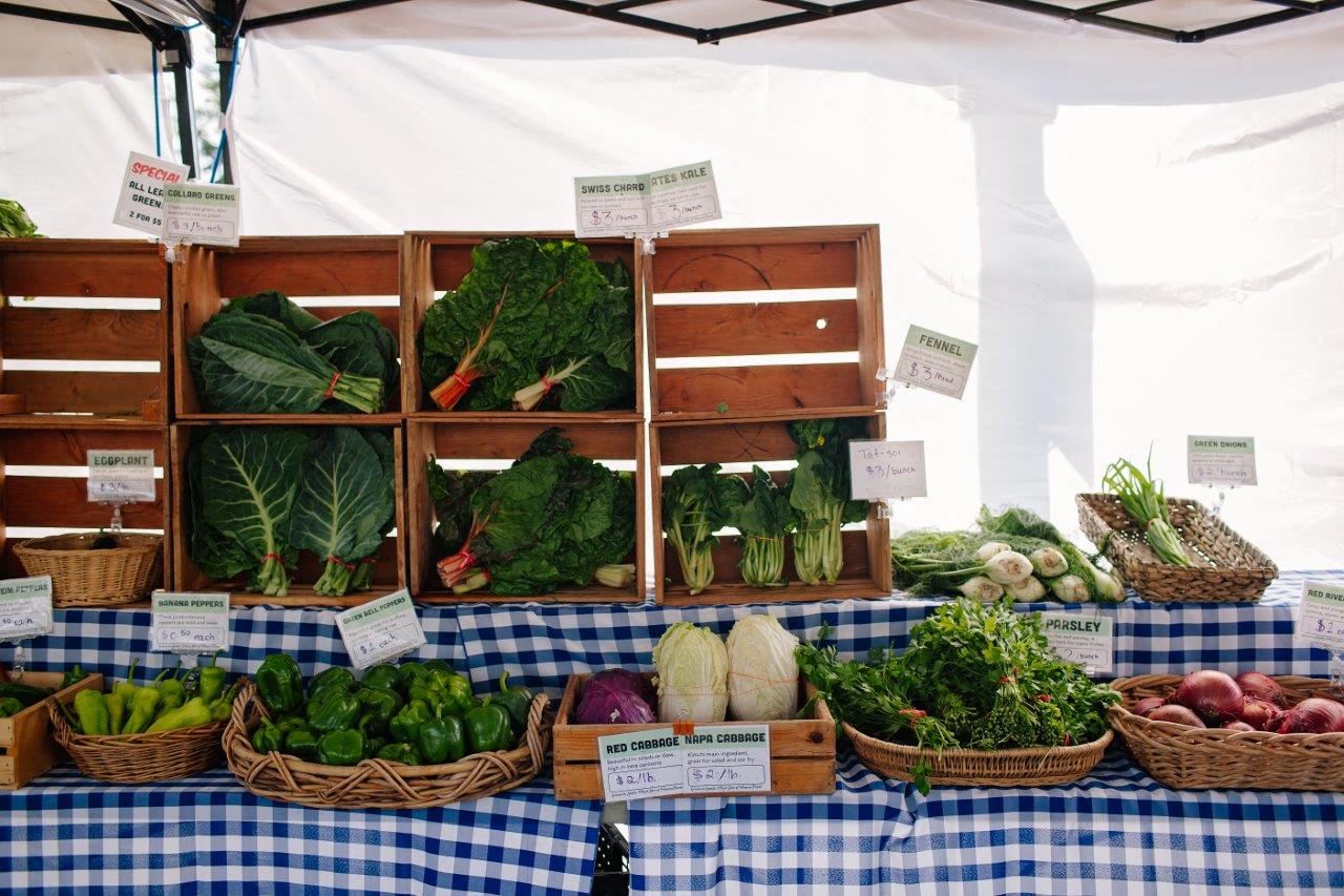 Springwater Crossing Image 48