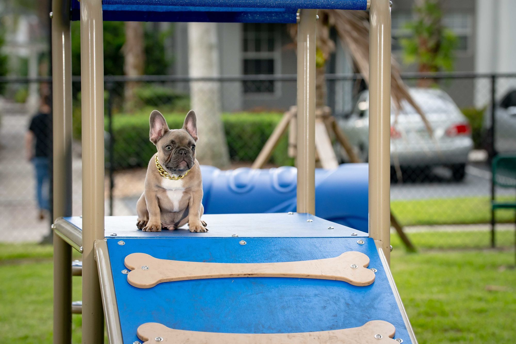 The Sophia Abacoa Image 27