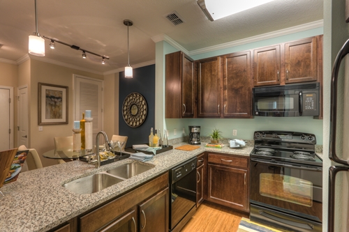 Lake Nona Watermark Image 10