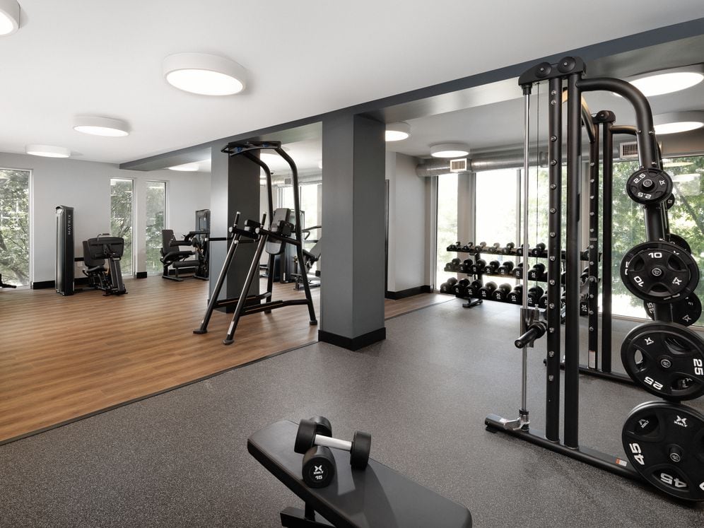 Fitness center with strength equipment