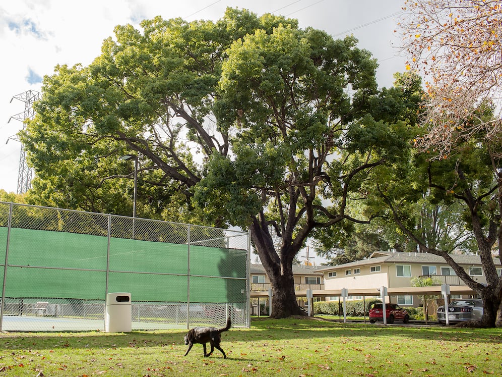 WAG Dog Park