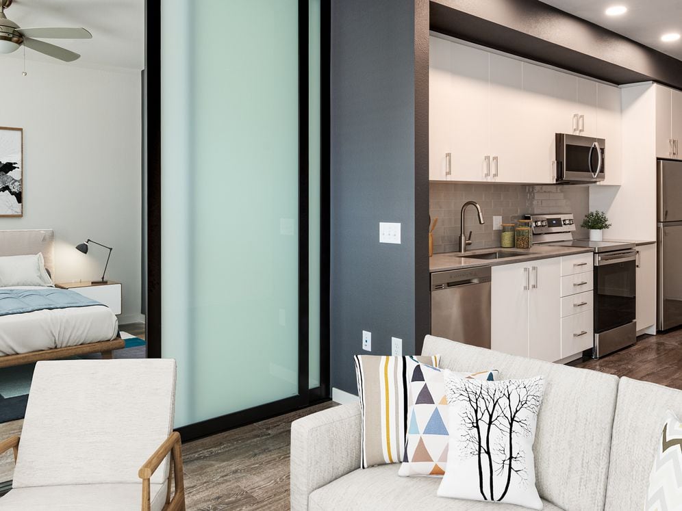 Scheme 1 Kitchen, Living Area and Bedroom with Sliding Barn Door