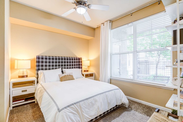 IMT At City Park Image 5