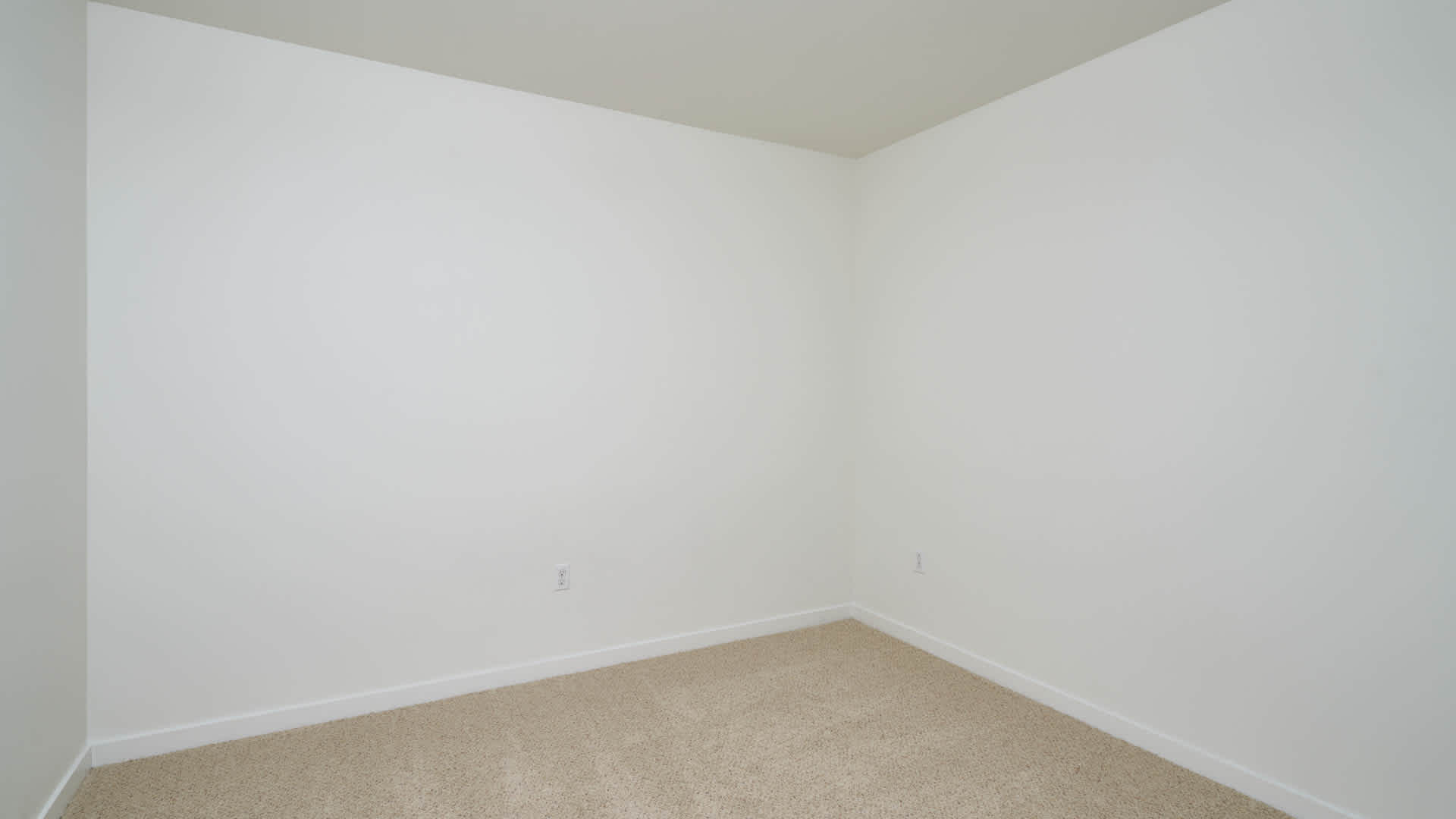 Springline  Image 51