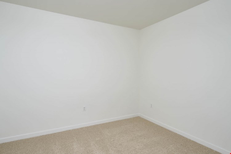 Springline  Image 51