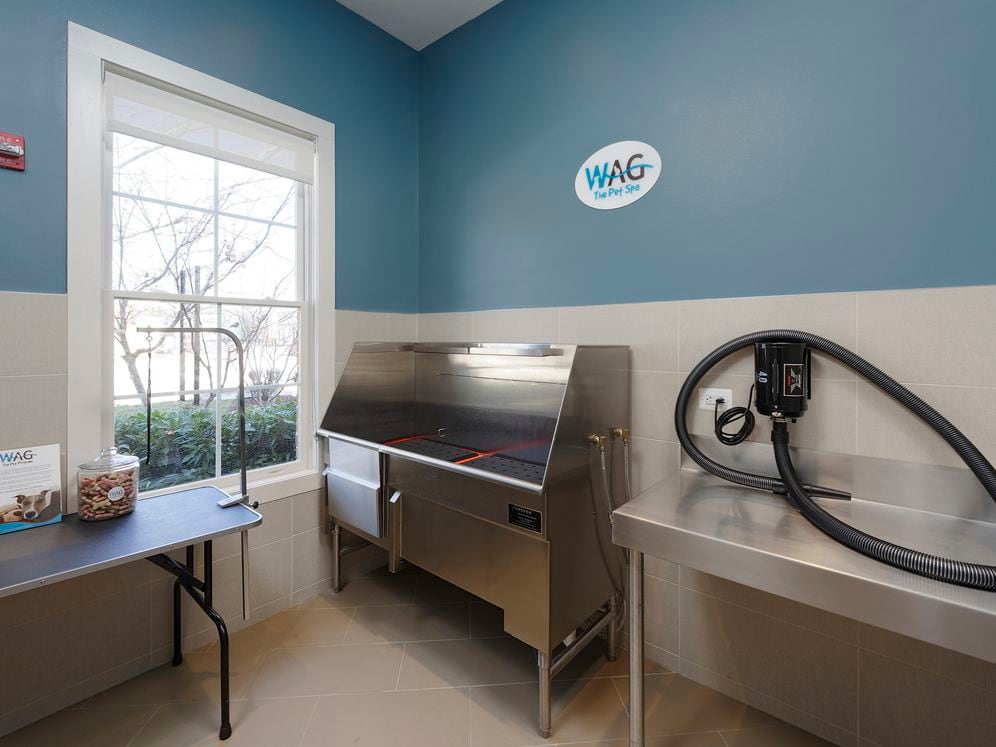 WAG pet spa with bathing area and grooming equipment