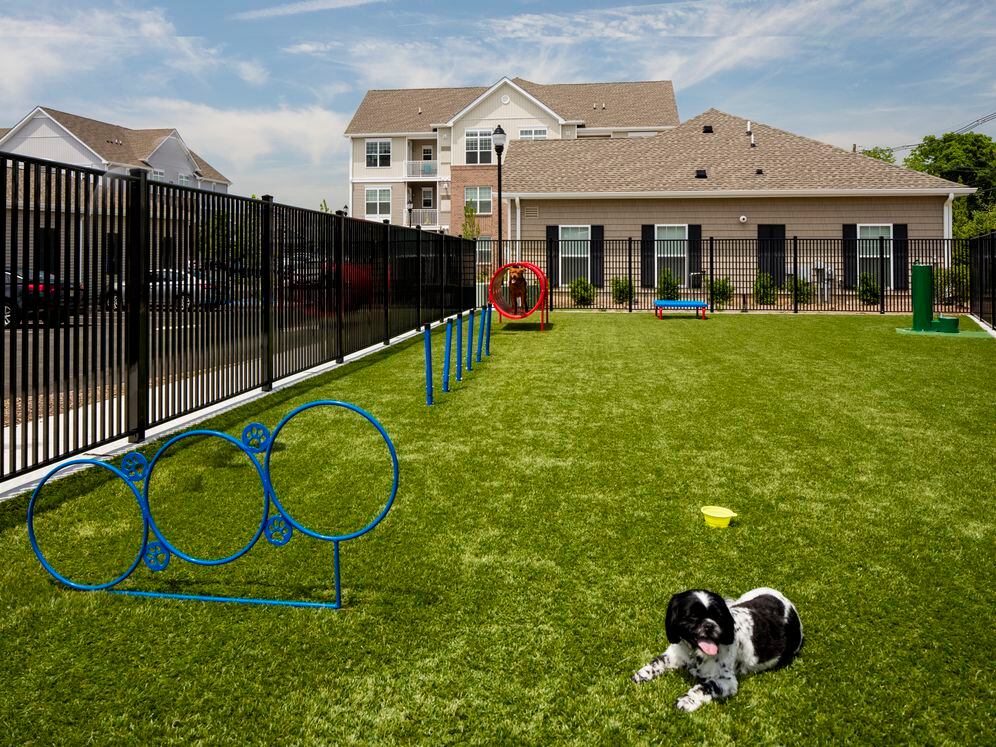 WAG Pet Park