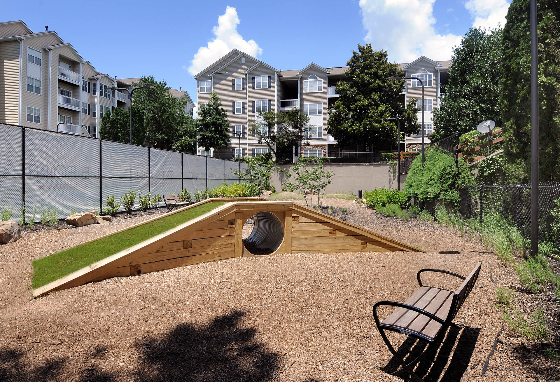 Dog park with agility equipment