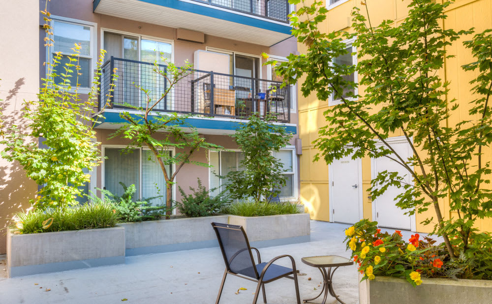 Sir Gallahad Image 2