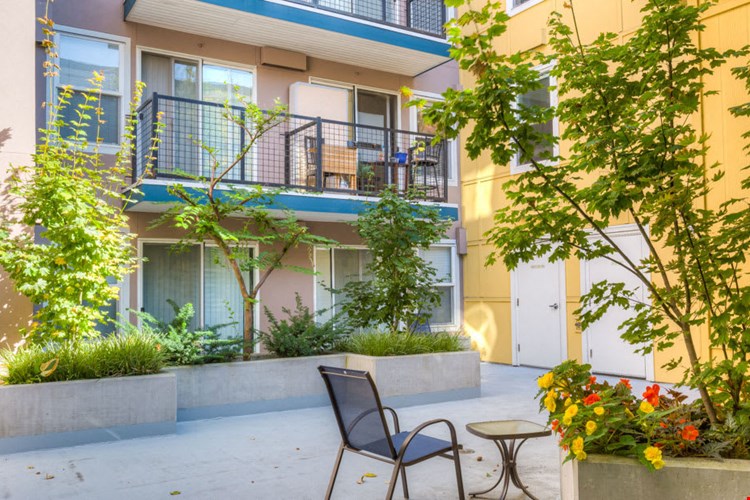 Sir Gallahad Image 2