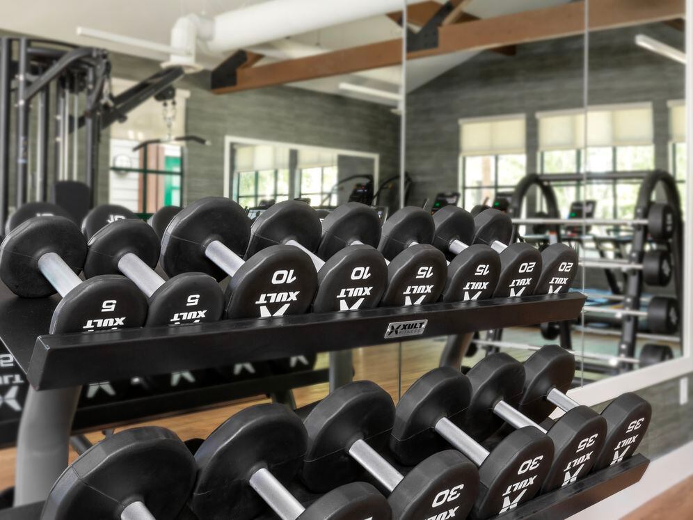 Fitness center with strength equipment