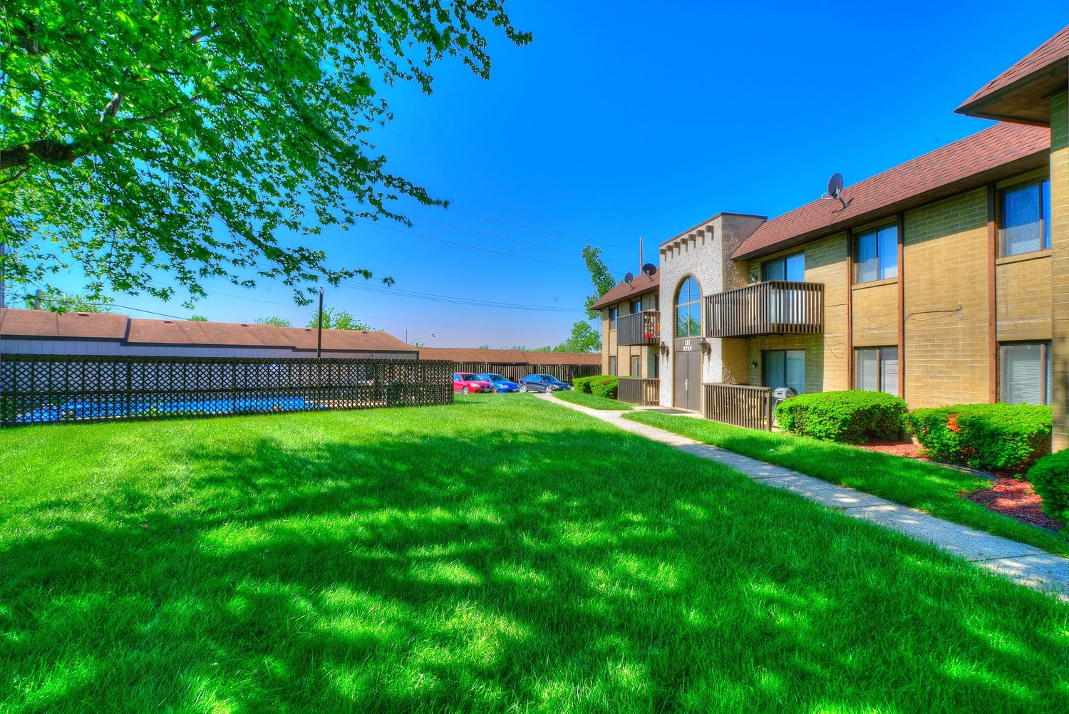 Storyboard on Sugar Pine Image 6