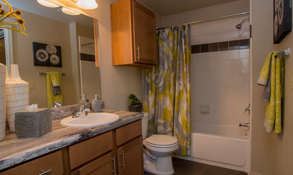 Villas at Canyon Ranch Image 11