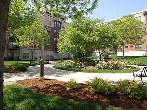 Library Hill Apartments Image 3
