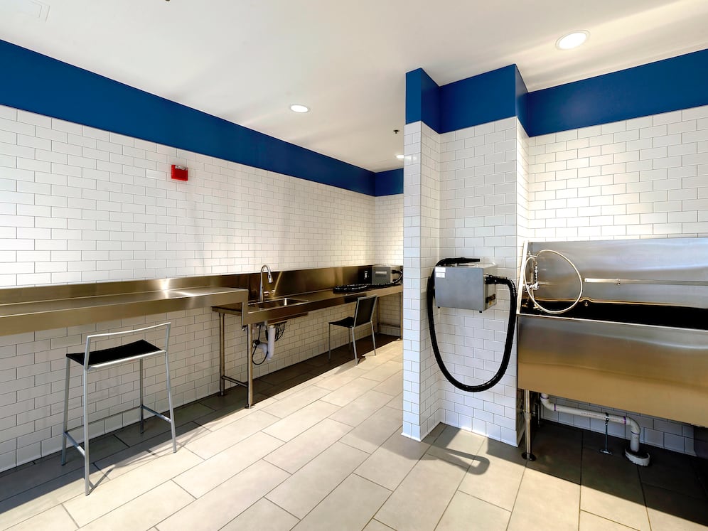 WAG pet spa with bathing area and grooming equipment