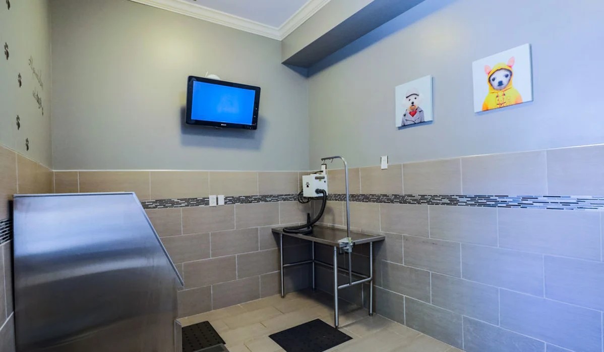 Reserve at Johns Creek Walk Image 3