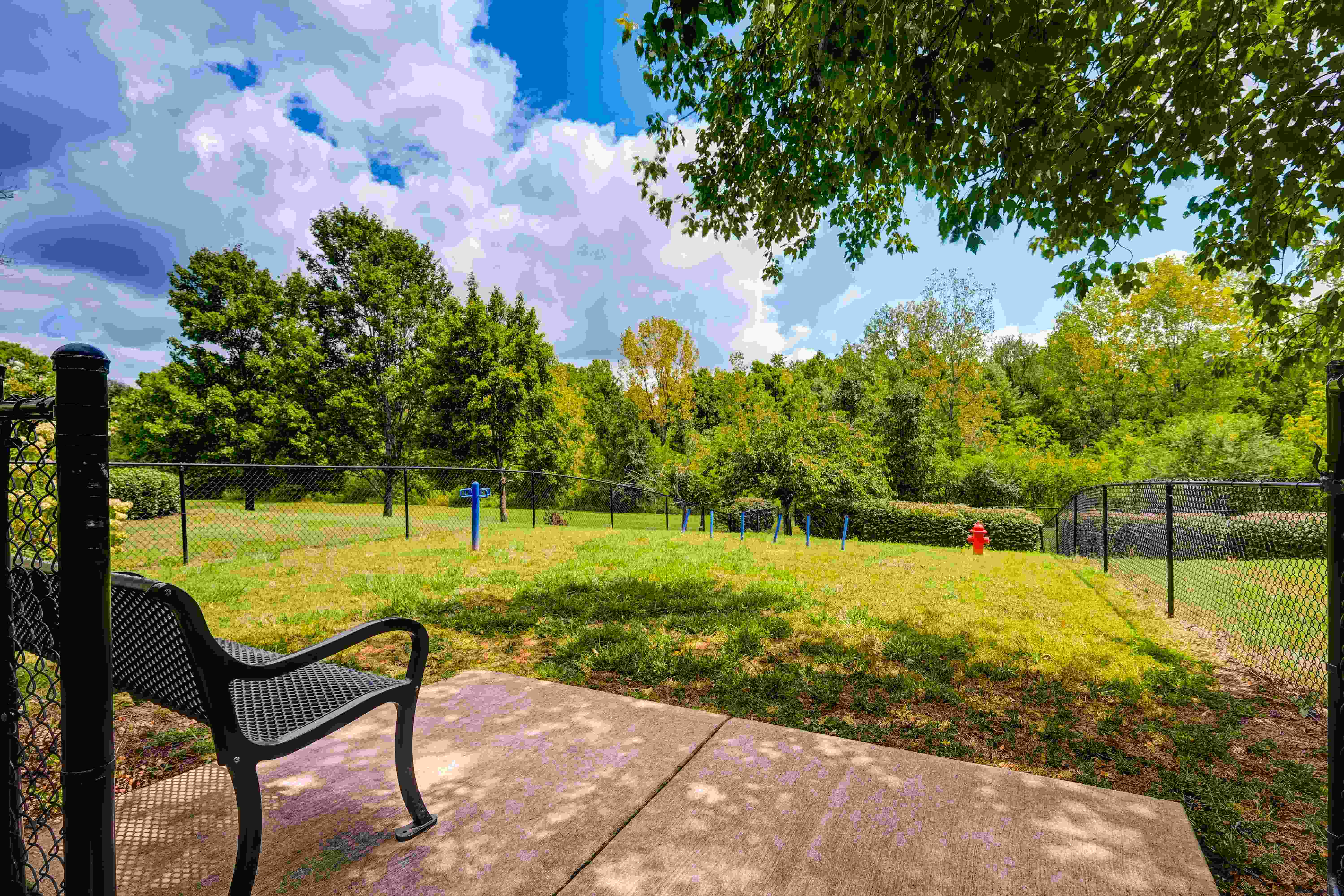 Wyndchase Aspen Grove Image 18
