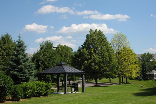 Lexington Apartments and Townhomes Image 6