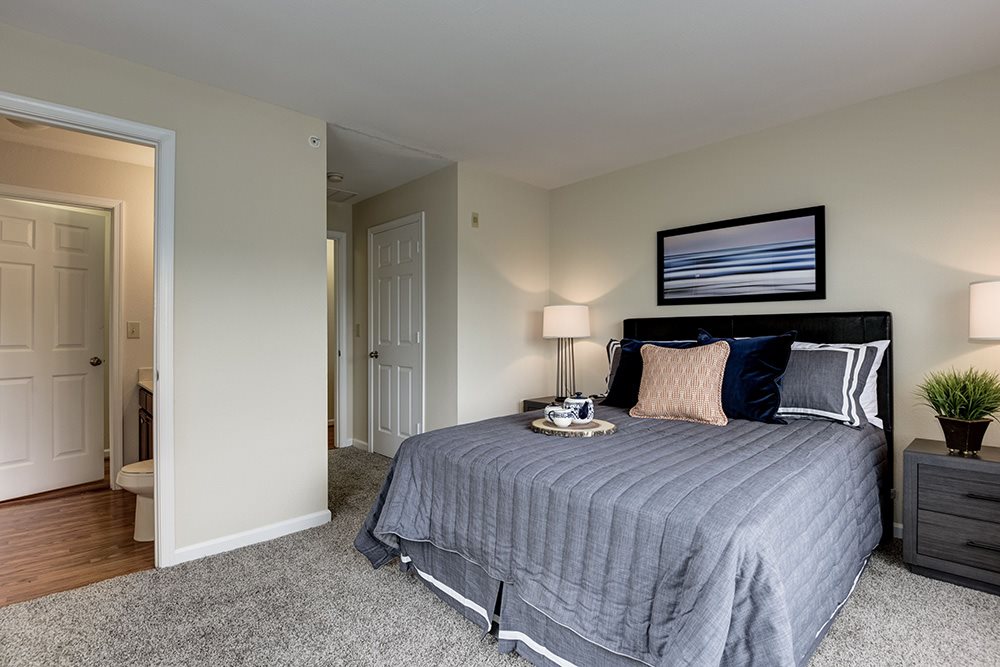 SomerHill Farms Image 9