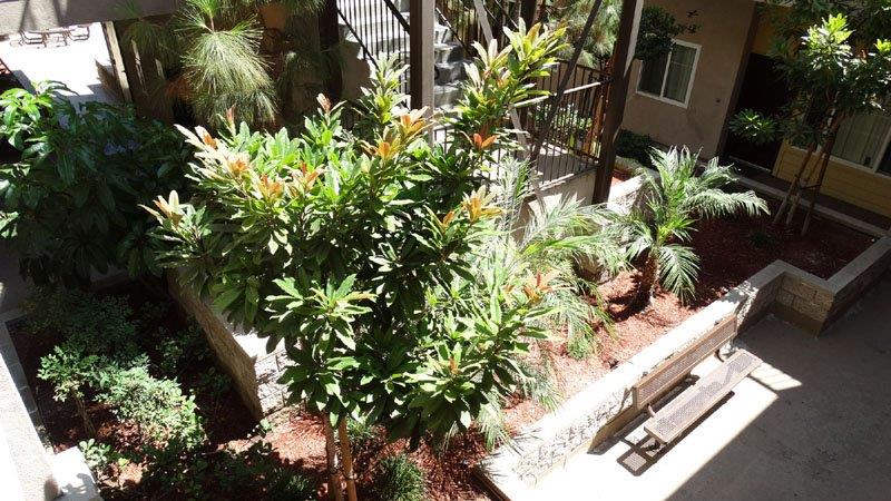 Arbor Terrace Image 9