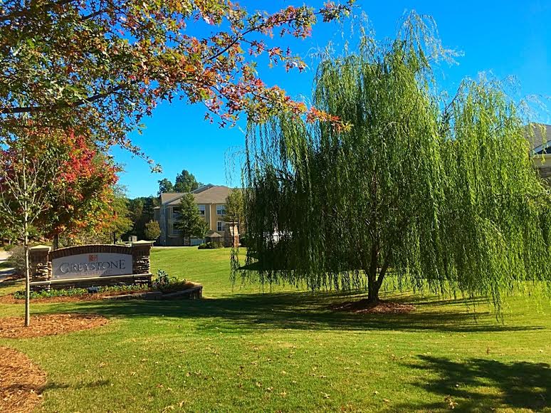 Willow Tree