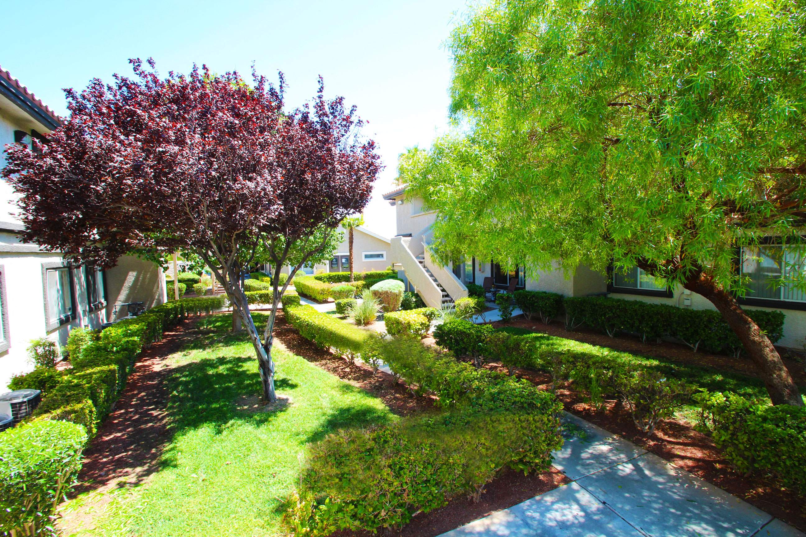 Vida Las Vegas Image 22