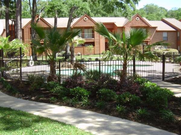 Forest Creek Image 3