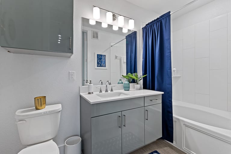 Reveal at Onion Creek Image 11