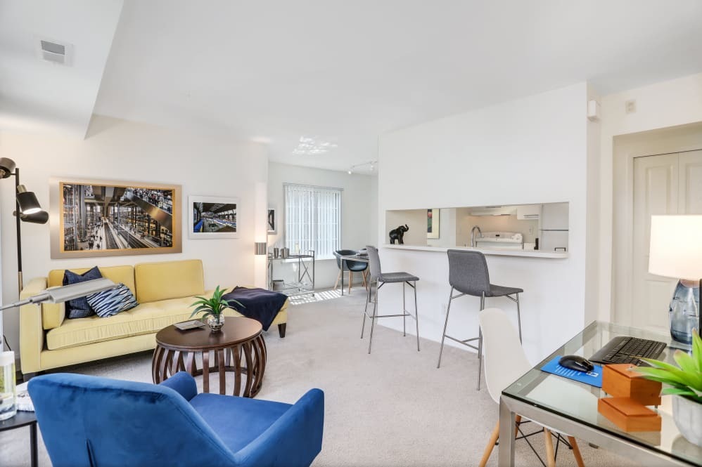 Saddle Creek Image 14