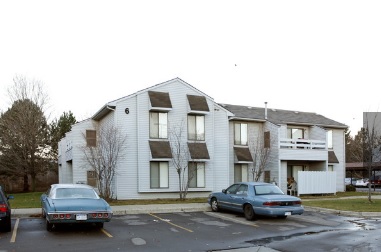 Sparrow Wood Image 1