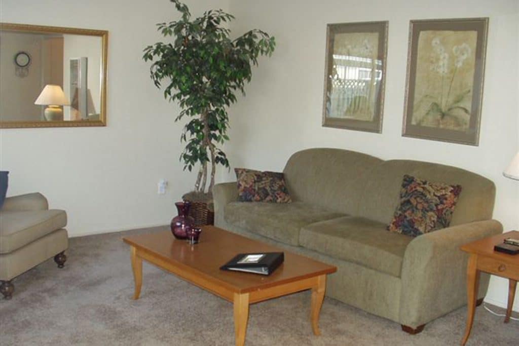 Autumn Woods Image 6