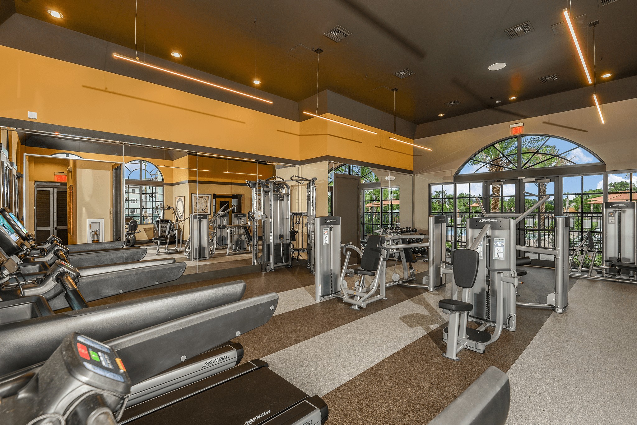 Palm Ranch Image 15