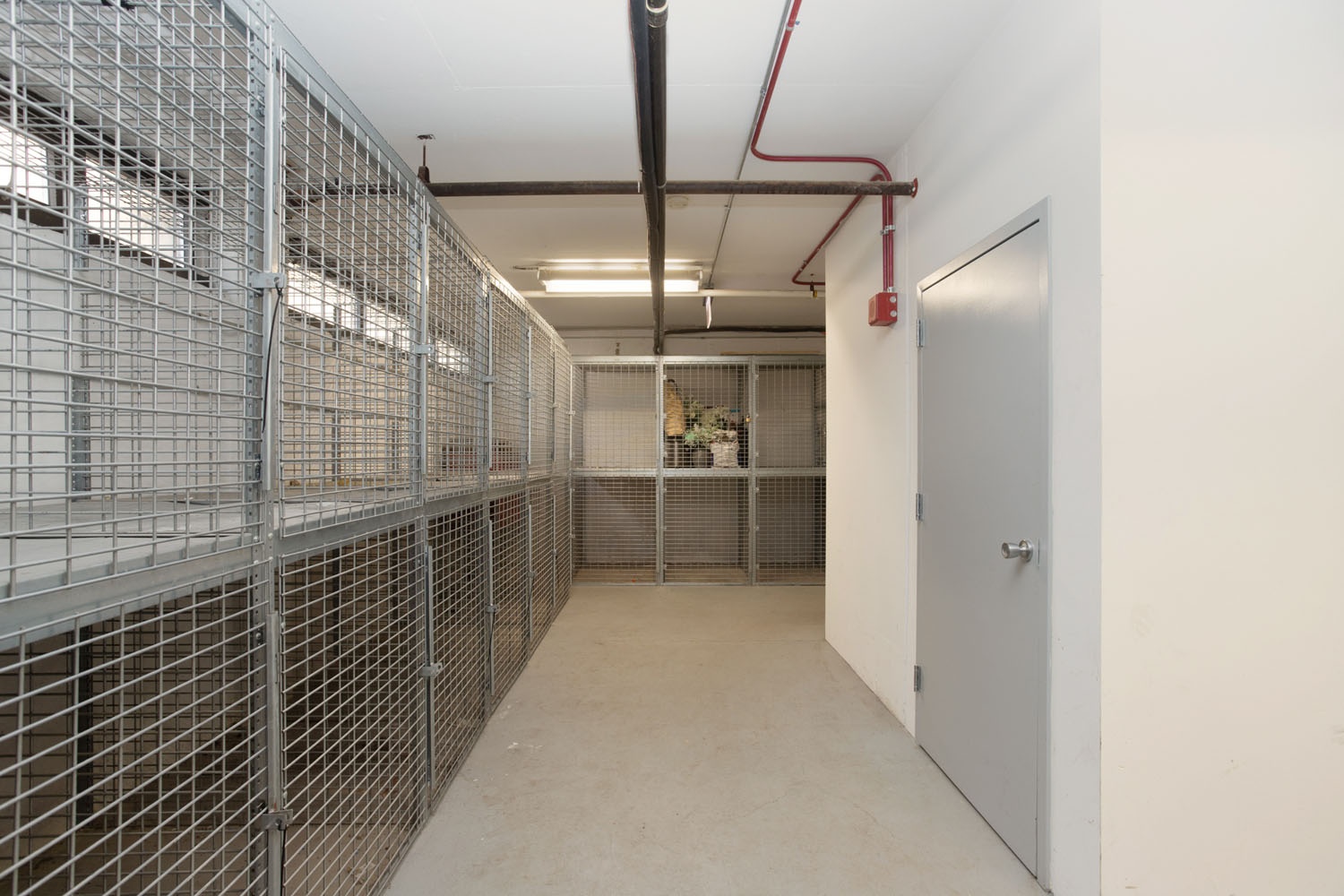 Algonquin Apartments Image 30
