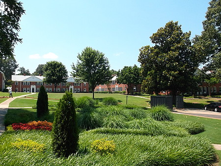 Georgian Woods Image 10