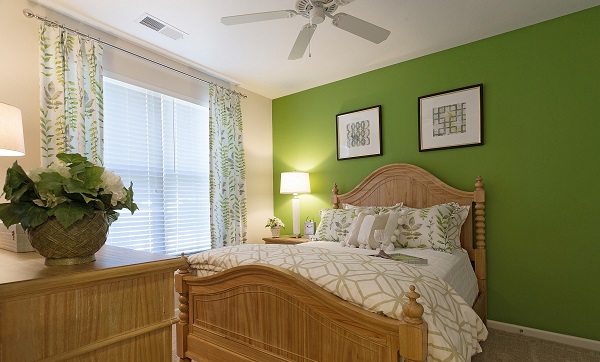 The Apartments at Brayden Image 10