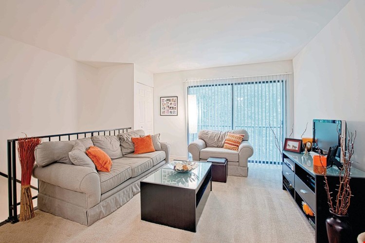 Woods of Williamsburg Image 10