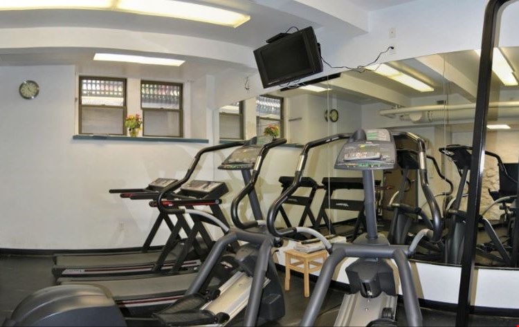 The Newport Image 15