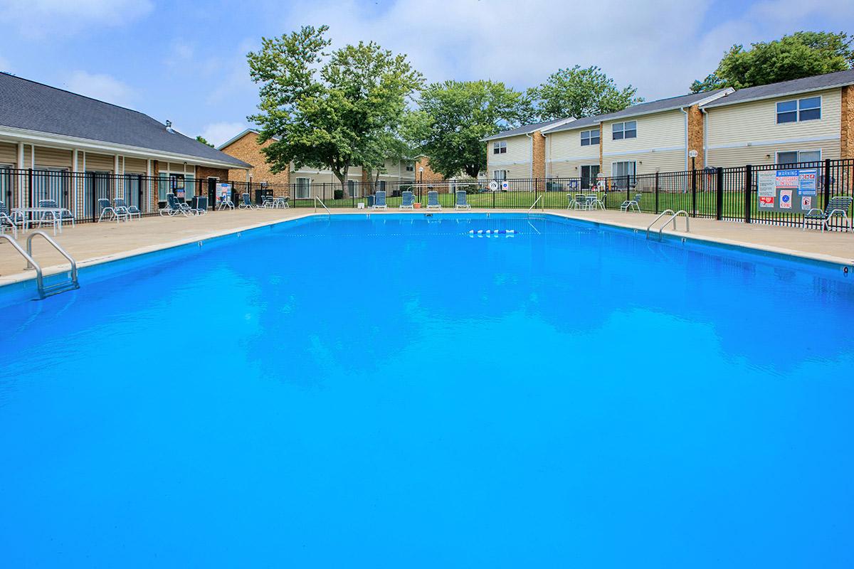 Burning Tree Image 1