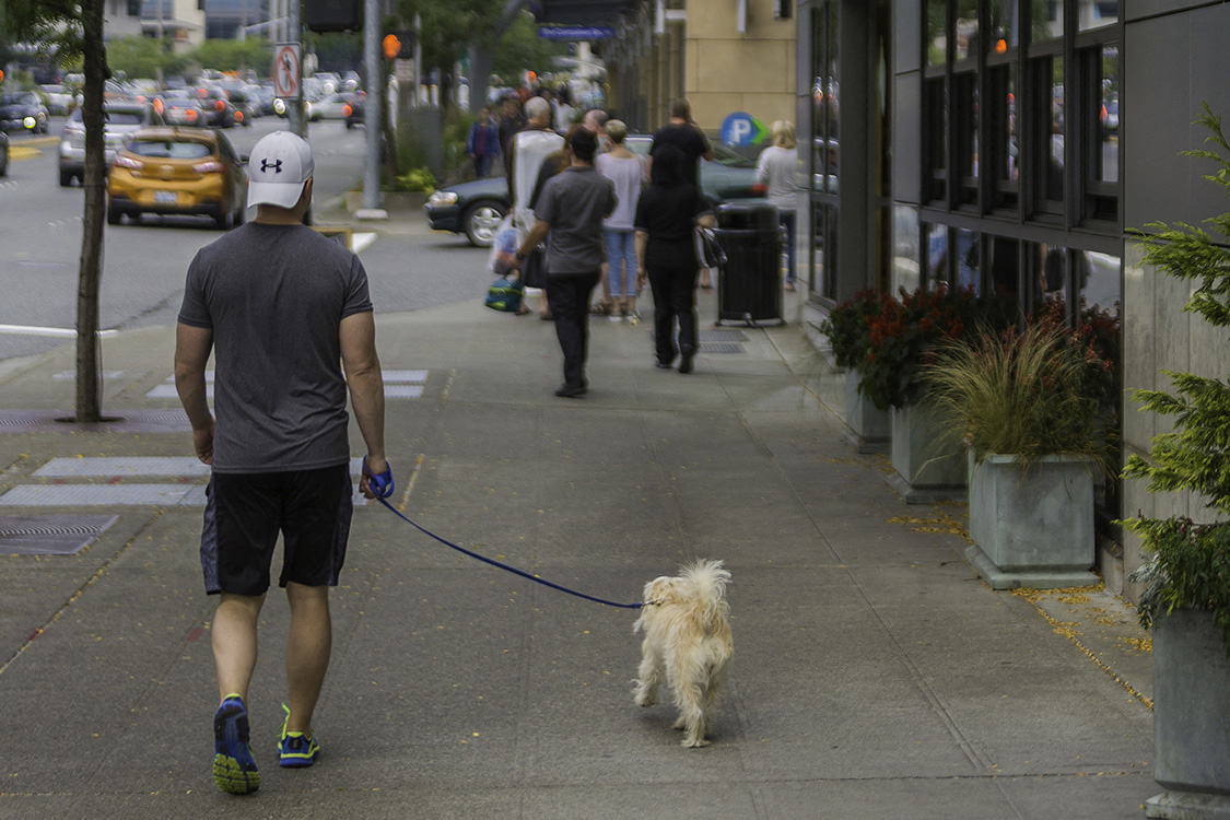 Lux Apartments are pet-friendly so be sure to bring your fur-babies and enjoy luxury living at Lux!