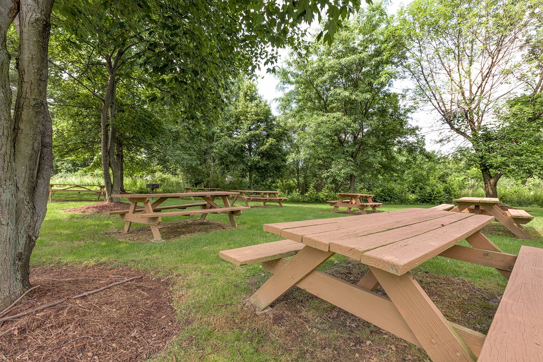 Hunters Hollow Apartments Image 9