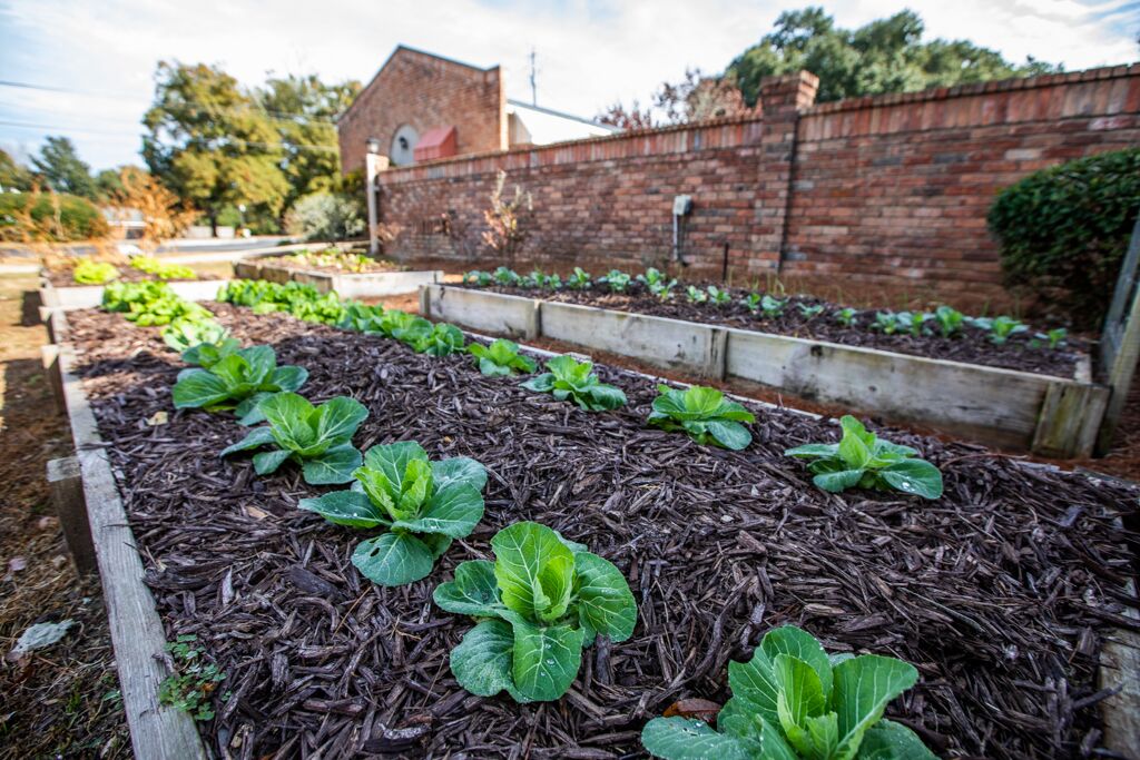 Kingswood Apartments Image 11