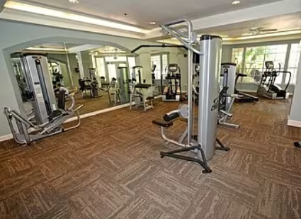 Falls at New Tampa Image 5