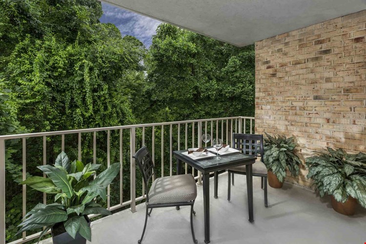 Haven Reston Image 45