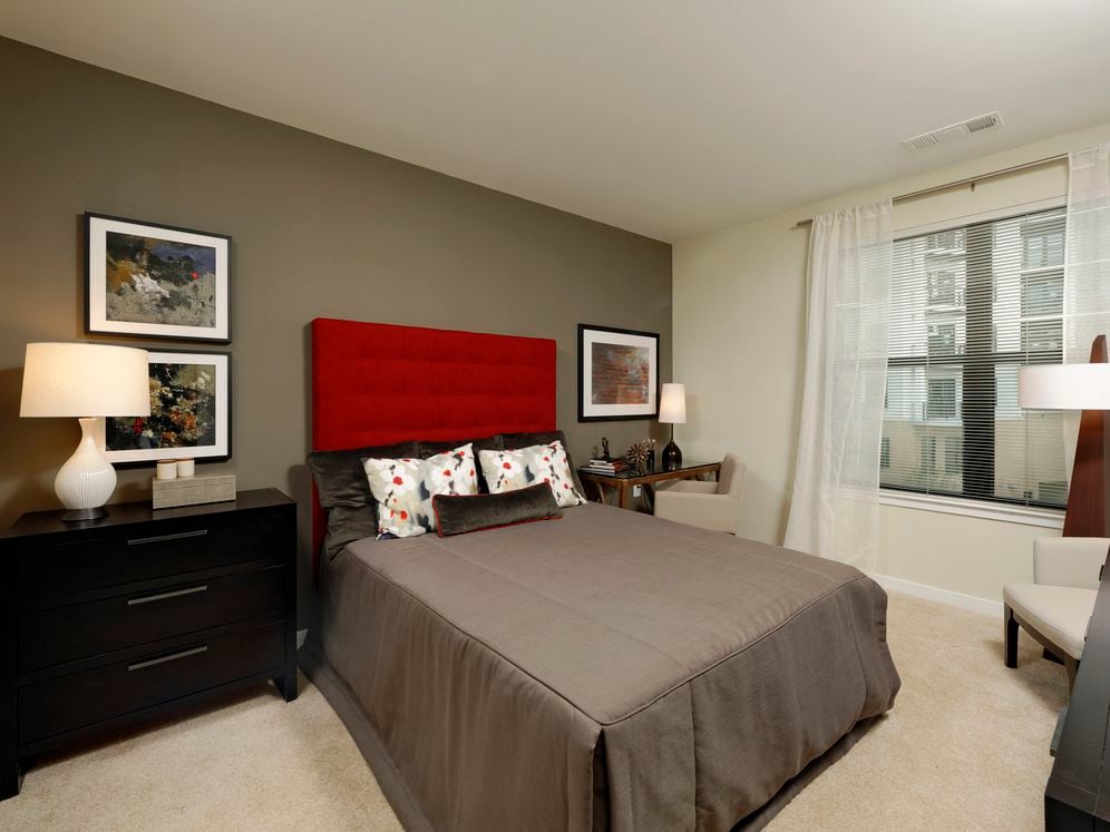 Contemporary bedroom with accent wall and carpet