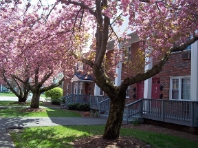 Lawrenceville Gardens Image 24