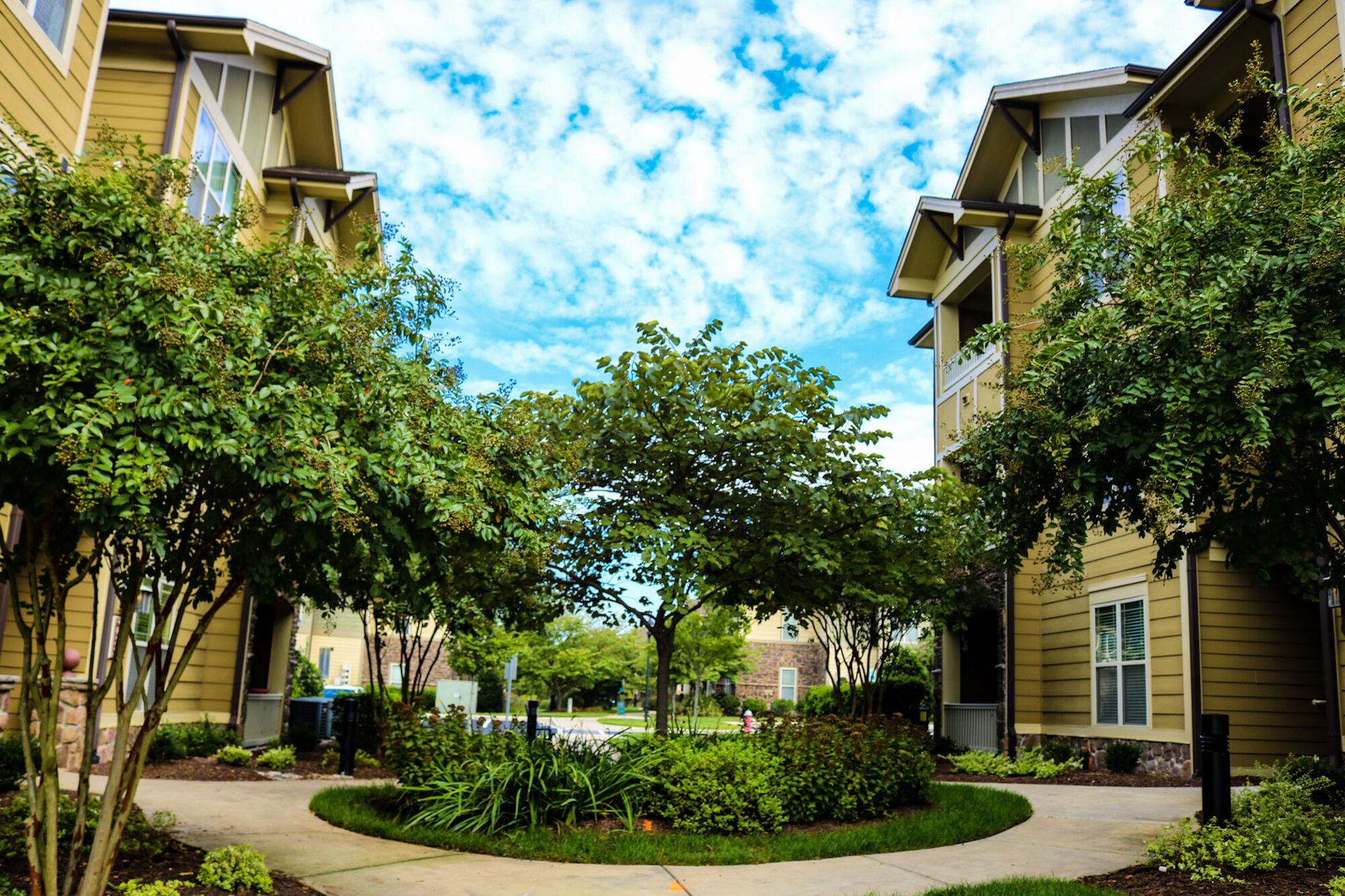 Cosgrove Hill Image 30