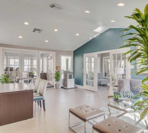 Silver Springs Image 3