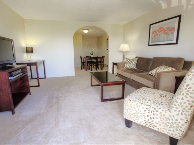 Living room with plush carpeting