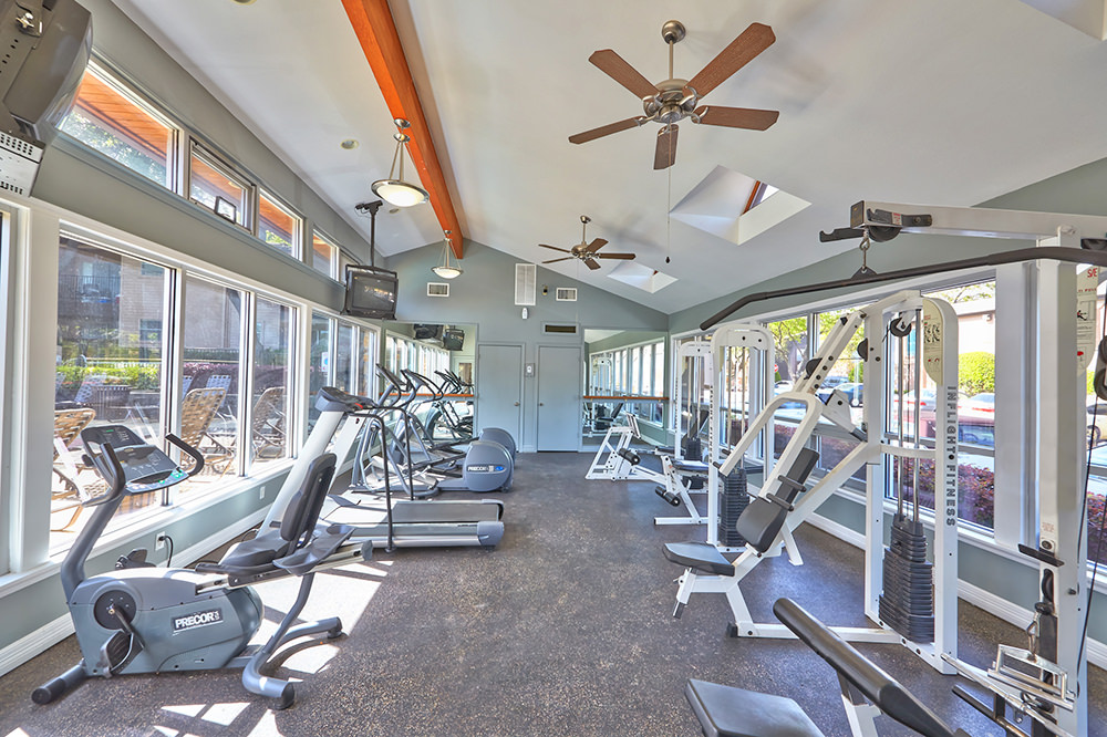 Preston Creek Image 5