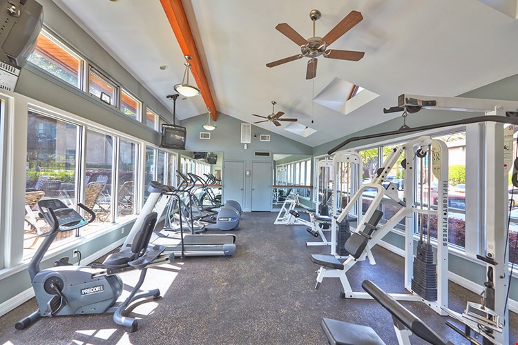 Preston Creek Image 5